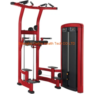 equipo de fitness corporal, equipo de gimnasio, Chin up, mejor ayuda DIP Chin DF-9010