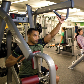 new best professional plate loaded machine, gym equipment and Fitness, Fitness Equipment, Gym machine,Biceps Curl - DF-6003