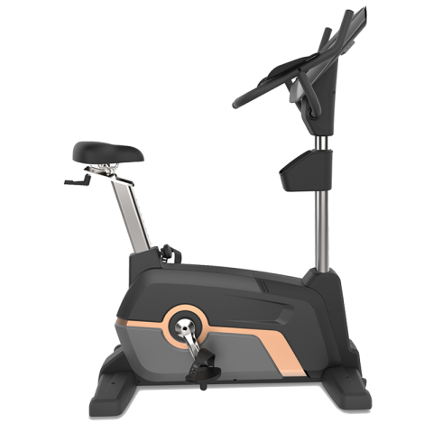 HE-600 Commercial Upright Bike