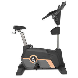 HE-600 Commercial Upright Bike