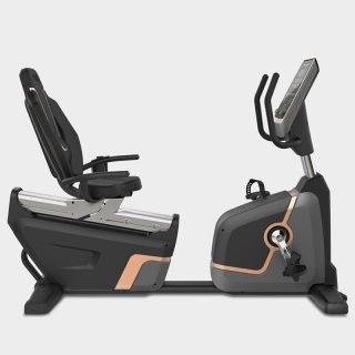 Bicicleta reclinada comercial HE-700