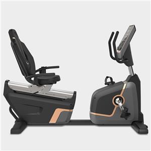 HE-700 Commercial Recumbent Bike