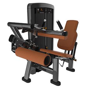 Seated Leg Curl DF-9014