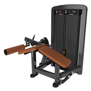 Leg Curl DF-9015