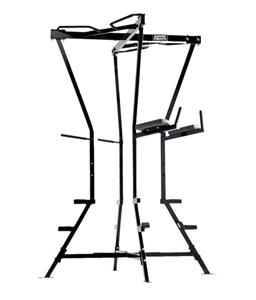 Body Weight Chin / Dip-DHS-4019