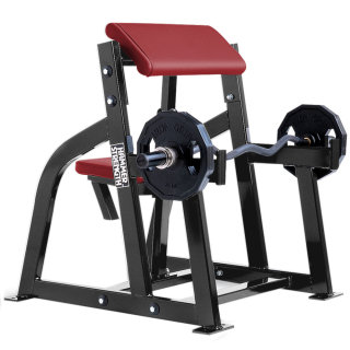 Seated Arm Curl-DHS-4018