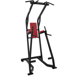 Chin / Dip / Leg Raise-DHS-4041