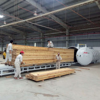 Asciugatrice automatica per legname a radiofrequenza