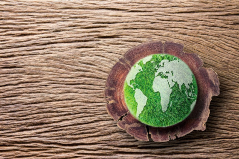 वुडवर्किंग को क्या टिकाऊ बनाता है?