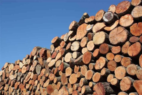 Why Control Of The Moisture Content Of Wood Is Necessary?
