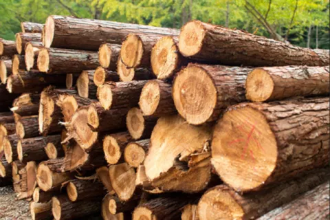 کارآمدترین روش برای خشک کردن چوب چیست؟