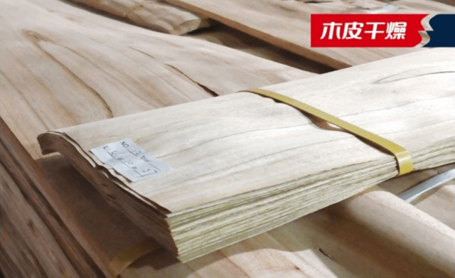 high frequency vacuum wood drying machine