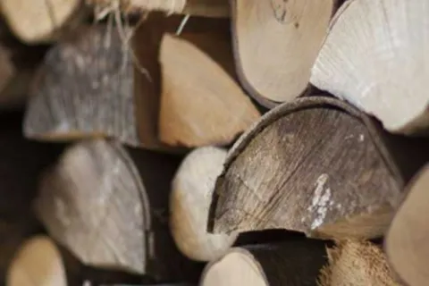 چه چیزی باعث ترک خوردگی و تغییر رنگ چوب می شود؟