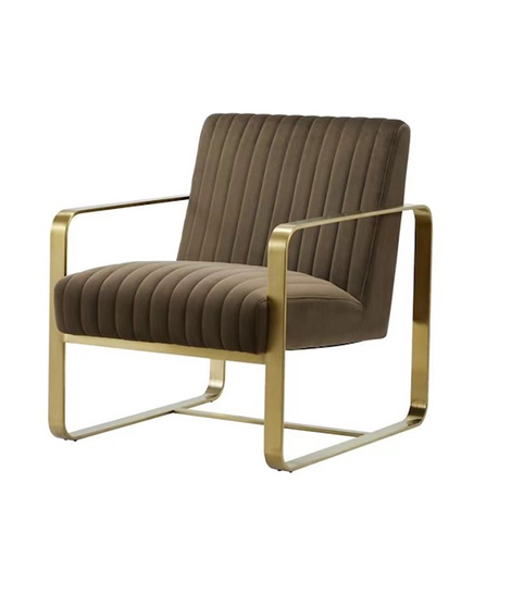 Modern Accent Chair With Stainless Steel Frame