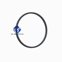 Fonton Cummins ISF2.8 Teile Zahnkranz des Schwungrads 4946759 3905427