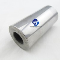 ฟอนตัน คัมมินส์ ISF3.8 อะไหล่ลูกสูบ เข็มหมุด 5271963