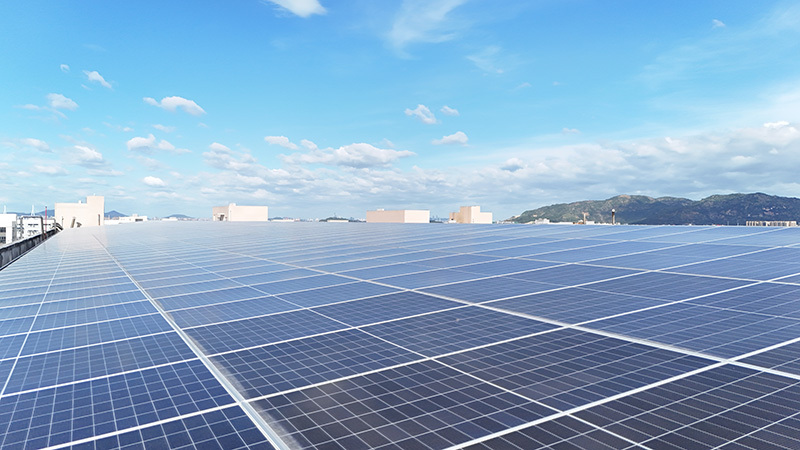 Zhangzhou Pao Ba Food Cement Roof 2.2m High Waterproof Project