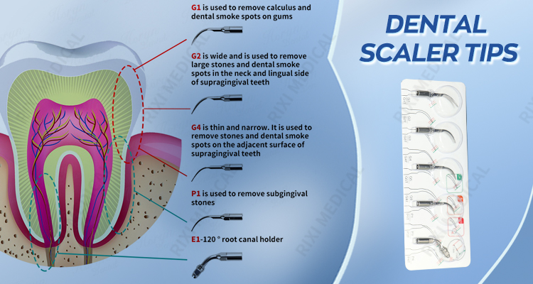 dental scaler unit