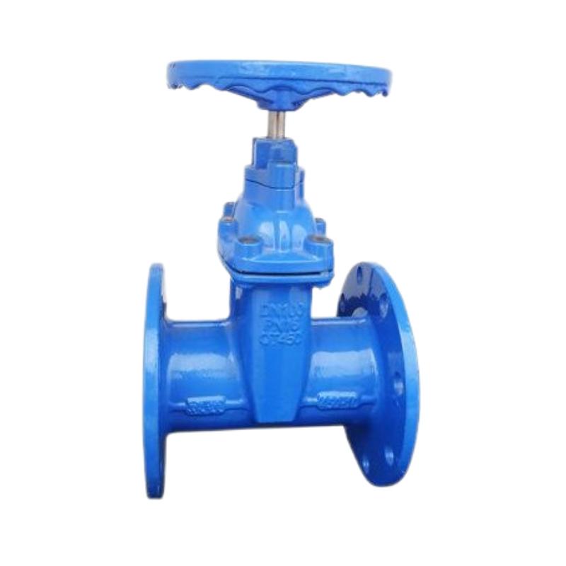 Cast Iron Gate Valve