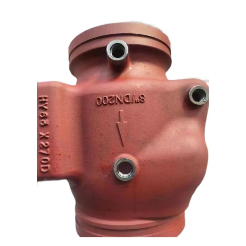 Cast Iron Check Valve