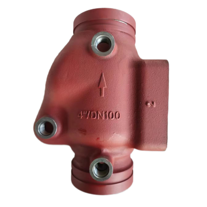 Cast Iron Check Valve