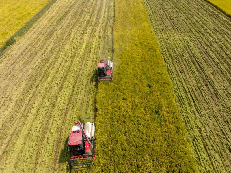 Fundición de acero de rueda motriz de alta calidad.