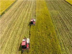 Kiváló minőségű hajtókerék acélöntvények