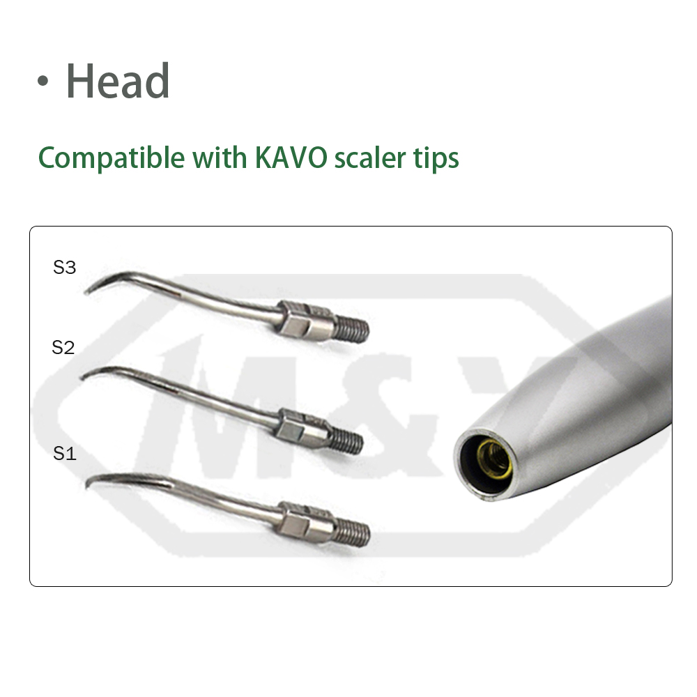 Acheter Détartreur d'air ultrasonique dentaire, pièce à main de détartrage hygiénique,Détartreur d'air ultrasonique dentaire, pièce à main de détartrage hygiénique Prix,Détartreur d'air ultrasonique dentaire, pièce à main de détartrage hygiénique Marques,Détartreur d'air ultrasonique dentaire, pièce à main de détartrage hygiénique Fabricant,Détartreur d'air ultrasonique dentaire, pièce à main de détartrage hygiénique Quotes,Détartreur d'air ultrasonique dentaire, pièce à main de détartrage hygiénique Société,