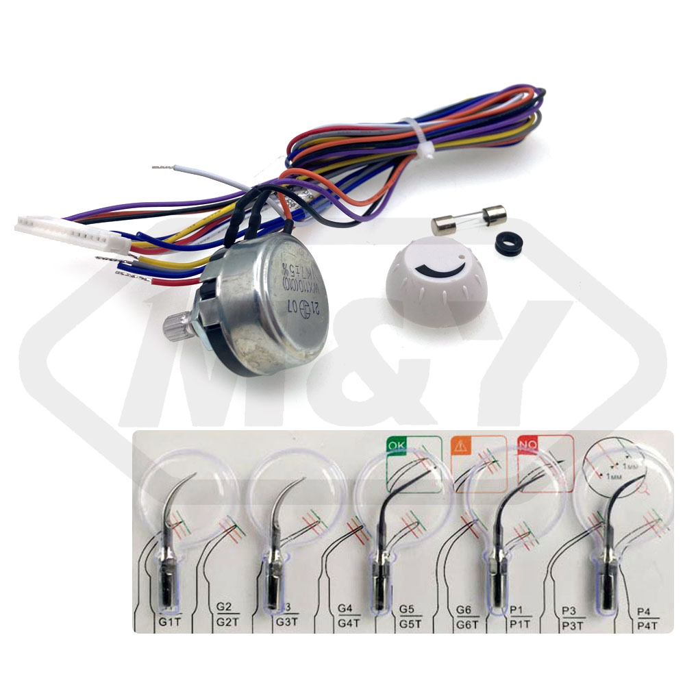 Beli  Unit Gigi Dibangun Pada Scaler Piezo Ultrasonik LED,Unit Gigi Dibangun Pada Scaler Piezo Ultrasonik LED Harga,Unit Gigi Dibangun Pada Scaler Piezo Ultrasonik LED Merek,Unit Gigi Dibangun Pada Scaler Piezo Ultrasonik LED Produsen,Unit Gigi Dibangun Pada Scaler Piezo Ultrasonik LED Quotes,Unit Gigi Dibangun Pada Scaler Piezo Ultrasonik LED Perusahaan,