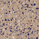 Terrazzo Batu Terrazzo VanGogh Batu Terrazzo