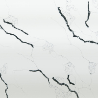 Carrara zwarte ader quartz design binnenplaat