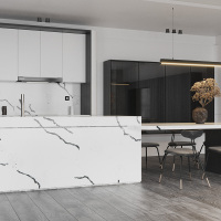 Carrara zwarte ader quartz design binnenplaat