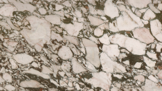 Calacatta Viola Marble