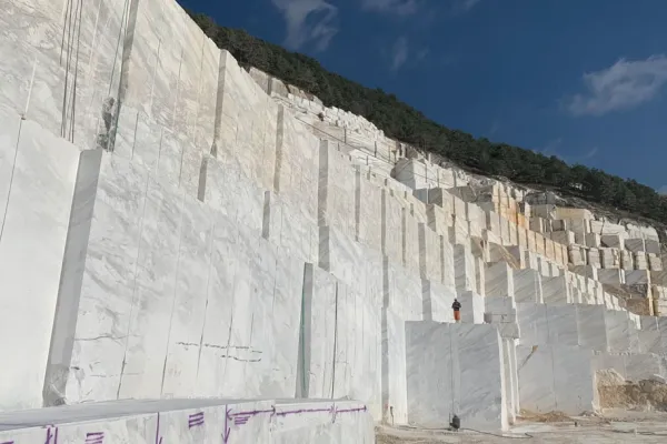 Márványképződés: Exportminőségű minőség kialakítása a beszállítók számára