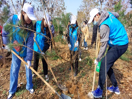 Penghijauan lingkungan Penghijauan lingkungan