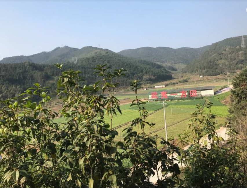 Visit Changfu Milk Factory in Nanping