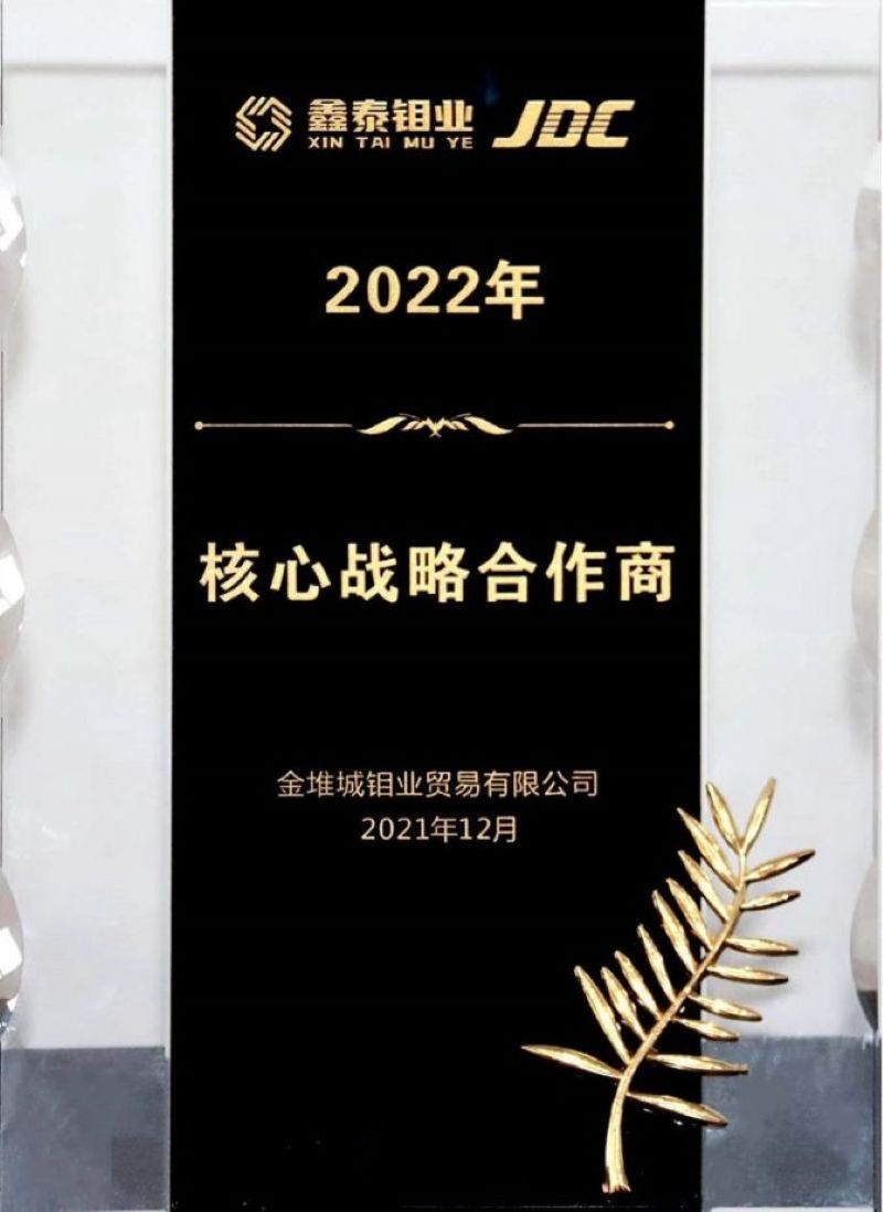 Core Strategic Partner