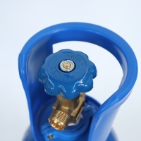 5L 108mm Tped Certificate Medical Use Home Use Oxygen Gas Cylinder