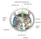 195L 2.01MPa Azot lichid Argon Oxigen Sticla Dewar criogenică