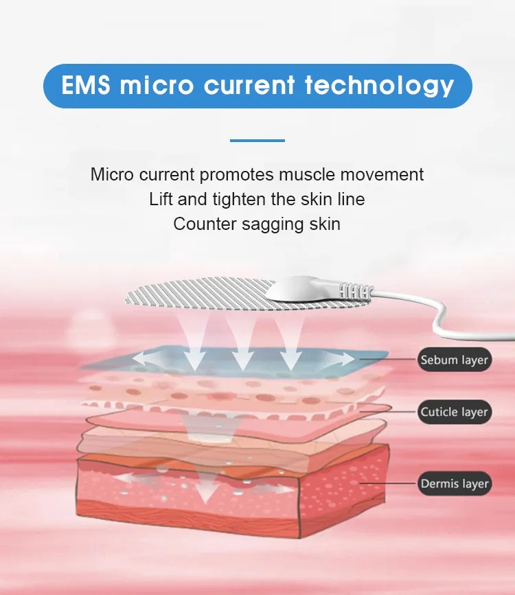 شراء محفز العضلات بي ام-1006 EMS ,محفز العضلات بي ام-1006 EMS الأسعار ·محفز العضلات بي ام-1006 EMS العلامات التجارية ,محفز العضلات بي ام-1006 EMS الصانع ,محفز العضلات بي ام-1006 EMS اقتباس ·محفز العضلات بي ام-1006 EMS الشركة