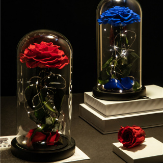 Rosa rossa singola stabilizzata a LED