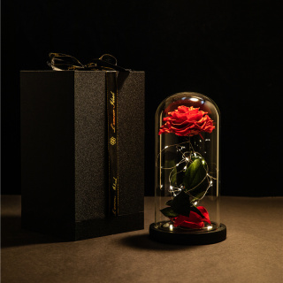 Rosa rossa singola stabilizzata a LED