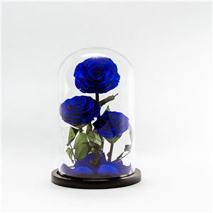 Bellissima rosa blu eterna a 3 teste in cupola di vetro