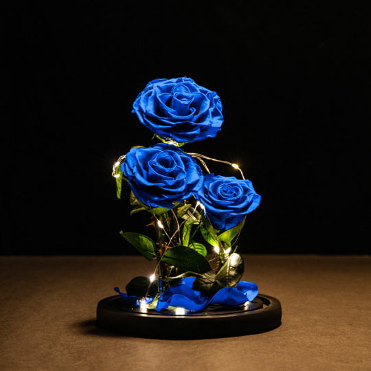 Светодиодная 3 головка с консервированной синей розой в стеклянном куполе