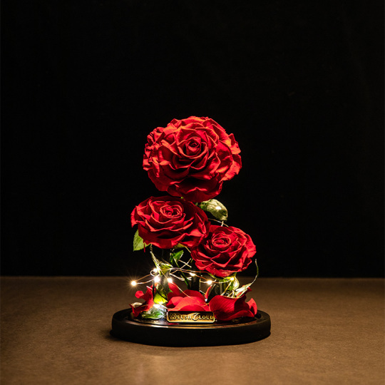 Светодиодная 3 головка с консервированной красной розой в стеклянном куполе