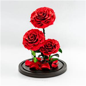 PLUS 3 Teste di Rosa Rossa Eterna In Cupola Di Vetro