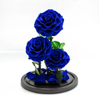 PLUS 3 Testa Eterna Rosa Blu In Cupola Di Vetro