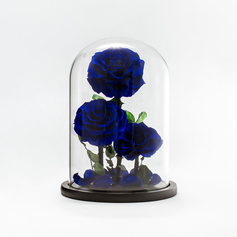 glass dome rose