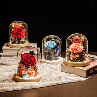 Rosa immortale in una piccola cupola di vetro