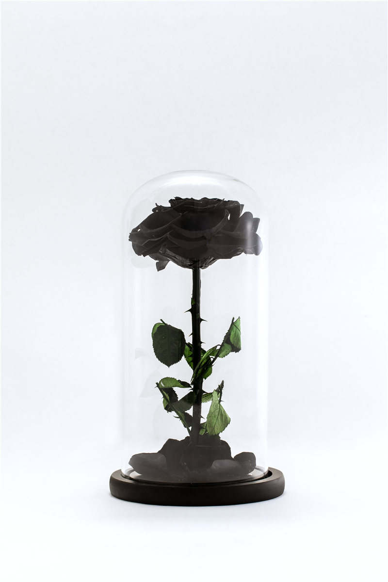 single preserved rose